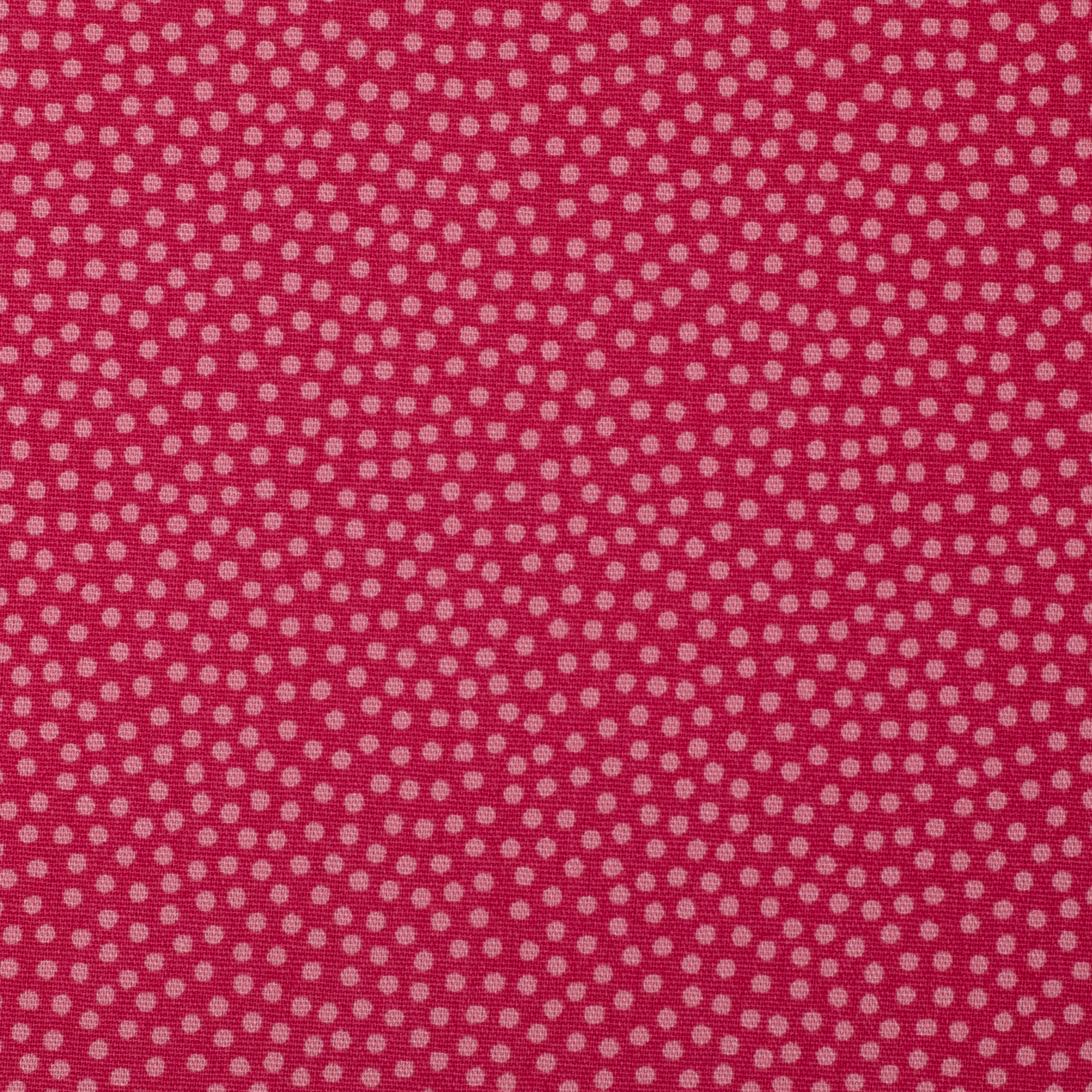 Baumwolle Webware Baumwollstoff Dotty Punkte 2mm Zweifarbig 147 cm WB