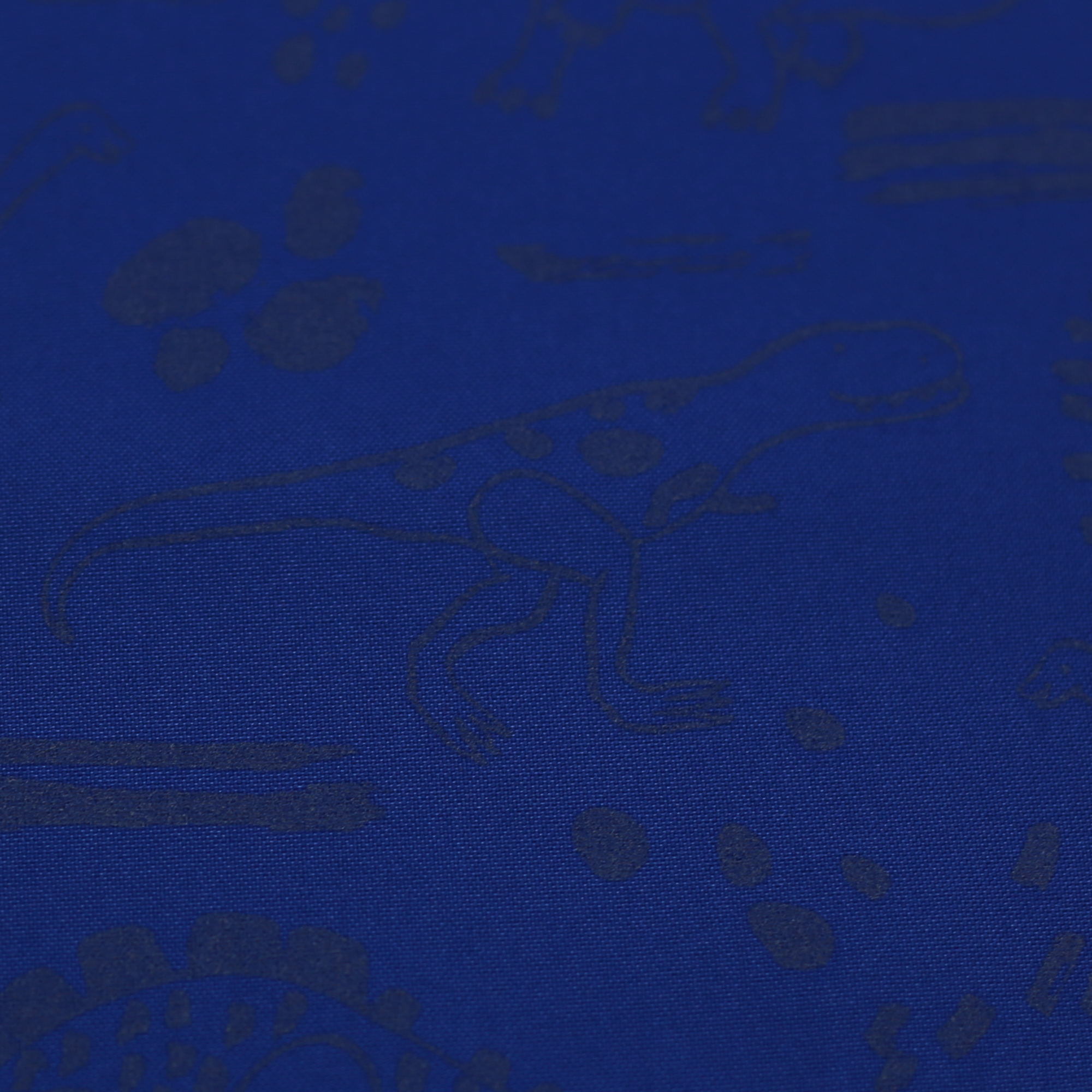 Softshell reflektierend gefüttert bedruckt Sakura Dino Blau 145 cm WB