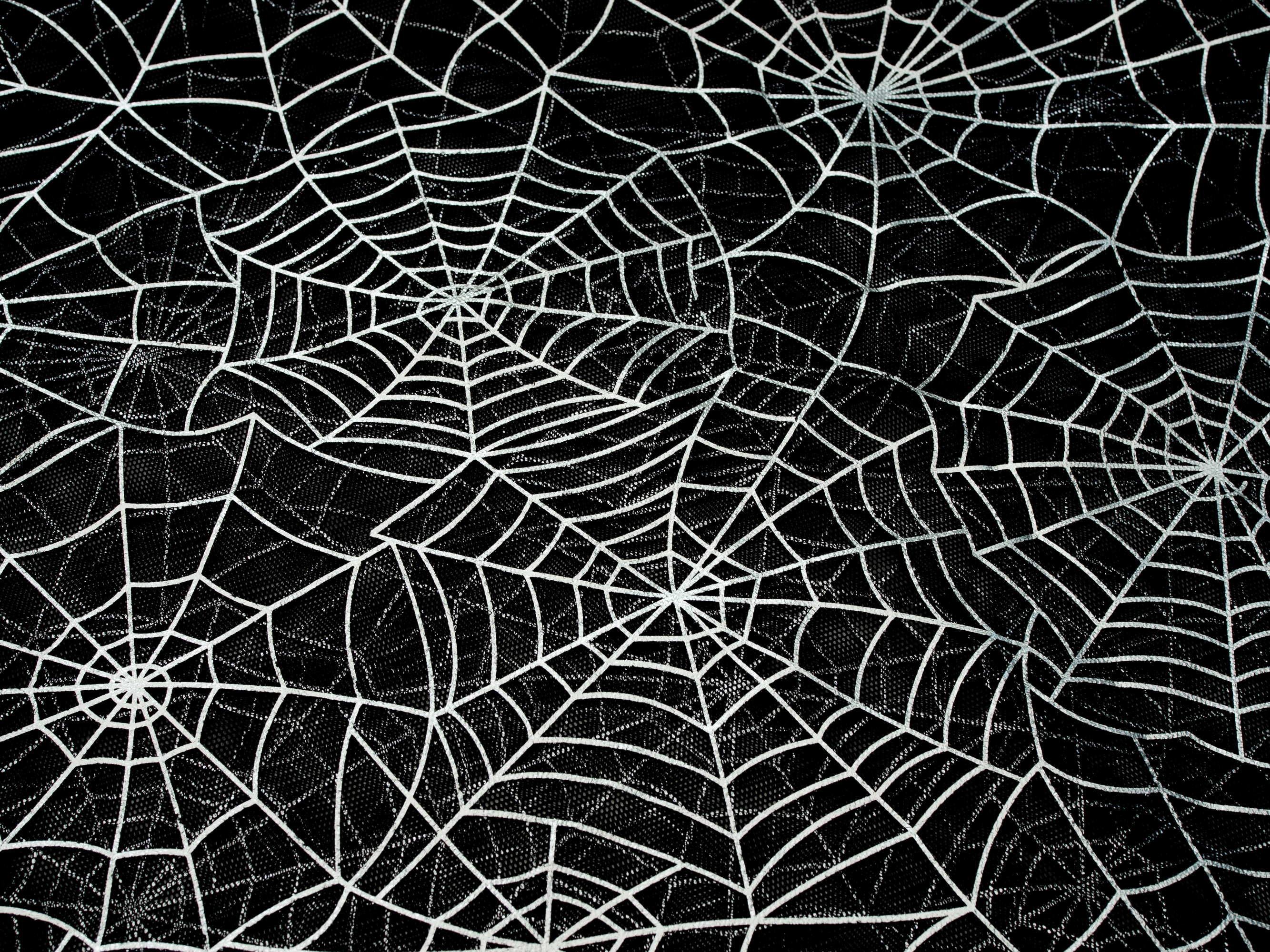 Softtüll Tüll mit Lackdruck Silber Spinnenweben Schwarz Silber 155 cm WB Halloween